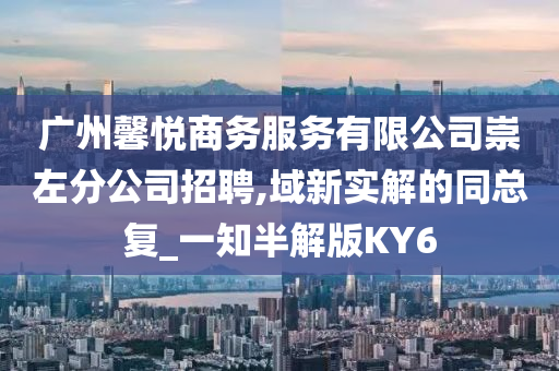 广州馨悦商务服务有限公司崇左分公司招聘,域新实解的同总复_一知半解版KY6