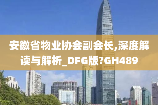 安徽省物业协会副会长,深度解读与解析_DFG版?GH489