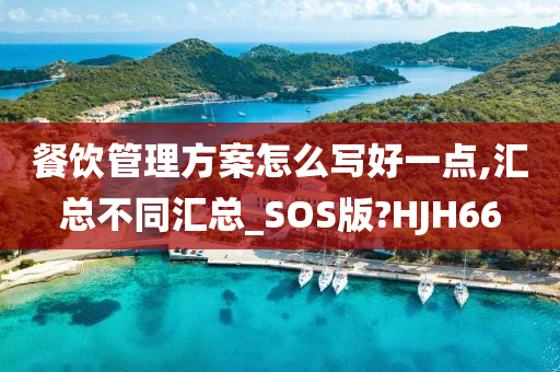 餐饮管理方案怎么写好一点,汇总不同汇总_SOS版?HJH66