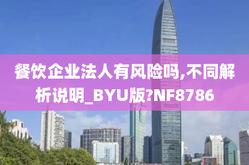 餐饮企业法人有风险吗,不同解析说明_BYU版?NF8786