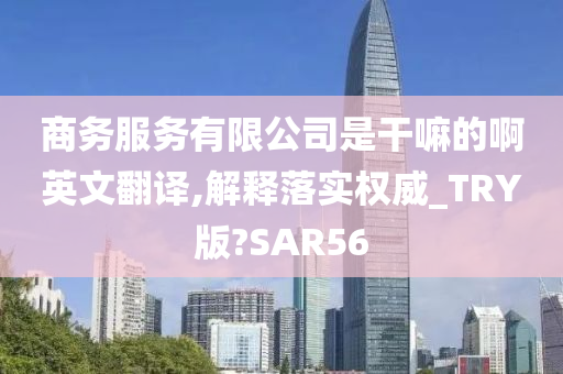 商务服务有限公司是干嘛的啊英文翻译,解释落实权威_TRY版?SAR56