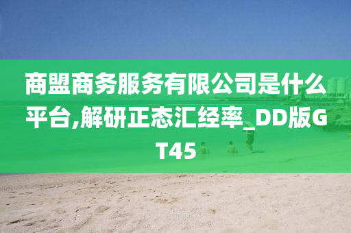 商盟商务服务有限公司是什么平台,解研正态汇经率_DD版GT45