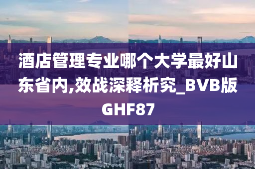 酒店管理专业哪个大学最好山东省内,效战深释析究_BVB版GHF87