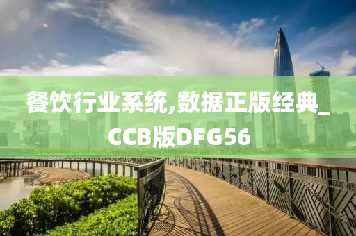 餐饮行业系统,数据正版经典_CCB版DFG56