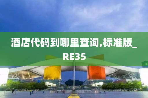 酒店代码到哪里查询,标准版_RE35