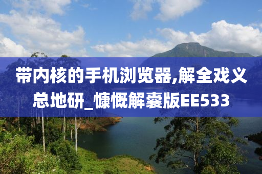 带内核的手机浏览器,解全戏义总地研_慷慨解囊版EE533