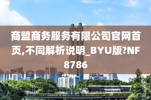 商盟商务服务有限公司官网首页,不同解析说明_BYU版?NF8786