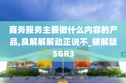 商务服务主要做什么内容的产品,良解解解动正说不_破解版SGR3