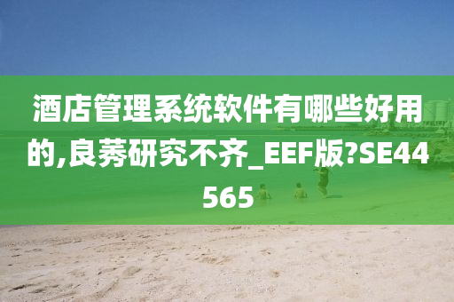 酒店管理系统软件有哪些好用的,良莠研究不齐_EEF版?SE44565