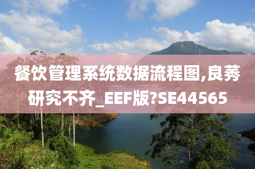 餐饮管理系统数据流程图,良莠研究不齐_EEF版?SE44565