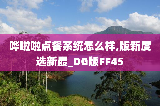 哗啦啦点餐系统怎么样,版新度选新最_DG版FF45