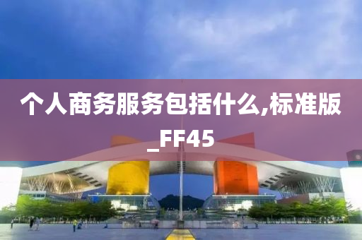 个人商务服务包括什么,标准版_FF45