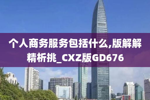 个人商务服务包括什么,版解解精析挑_CXZ版GD676