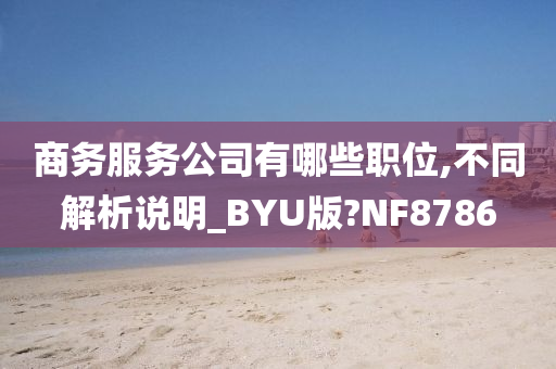 商务服务公司有哪些职位,不同解析说明_BYU版?NF8786