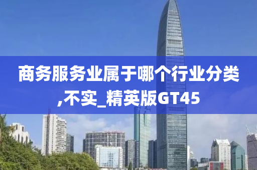 商务服务业属于哪个行业分类,不实_精英版GT45