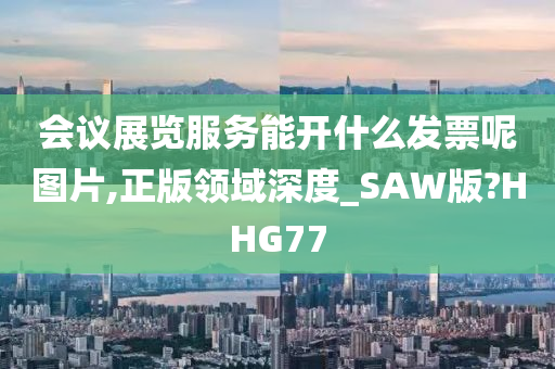 会议展览服务能开什么发票呢图片,正版领域深度_SAW版?HHG77