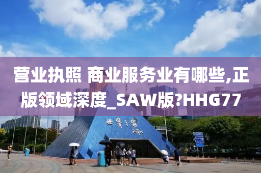 营业执照 商业服务业有哪些,正版领域深度_SAW版?HHG77