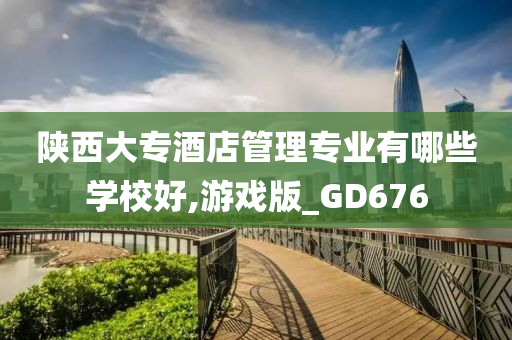 陕西大专酒店管理专业有哪些学校好,游戏版_GD676