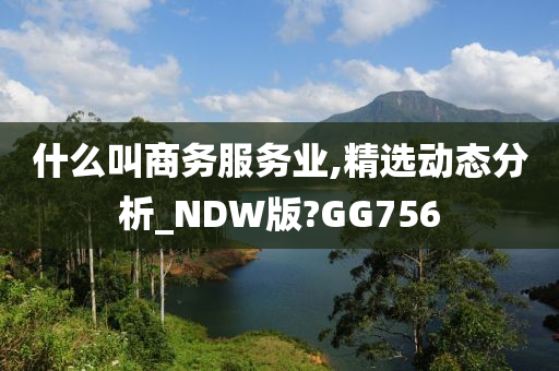 什么叫商务服务业,精选动态分析_NDW版?GG756