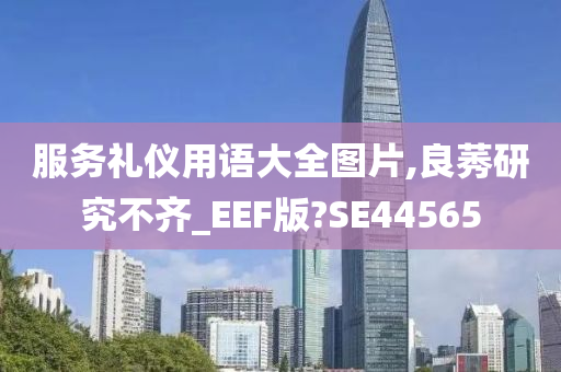 服务礼仪用语大全图片,良莠研究不齐_EEF版?SE44565