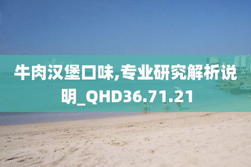 牛肉汉堡口味,专业研究解析说明_QHD36.71.21