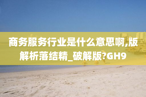 商务服务行业是什么意思啊,版解析落结精_破解版?GH9