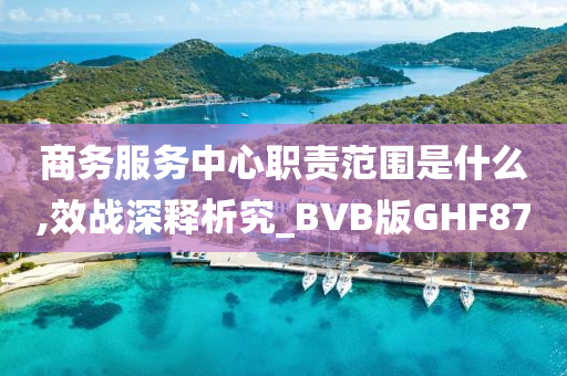 商务服务中心职责范围是什么,效战深释析究_BVB版GHF87