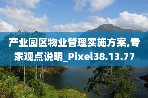 产业园区物业管理实施方案,专家观点说明_Pixel38.13.77