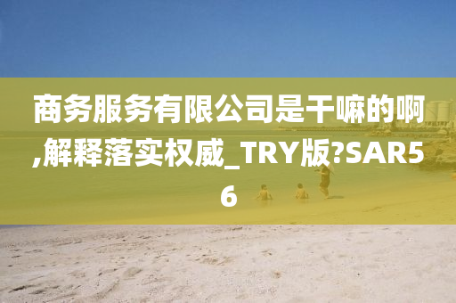 商务服务有限公司是干嘛的啊,解释落实权威_TRY版?SAR56