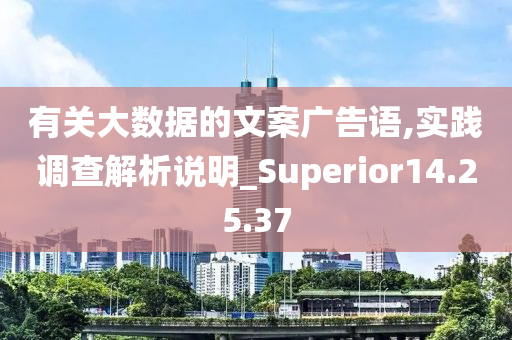 有关大数据的文案广告语,实践调查解析说明_Superior14.25.37