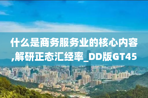 什么是商务服务业的核心内容,解研正态汇经率_DD版GT45