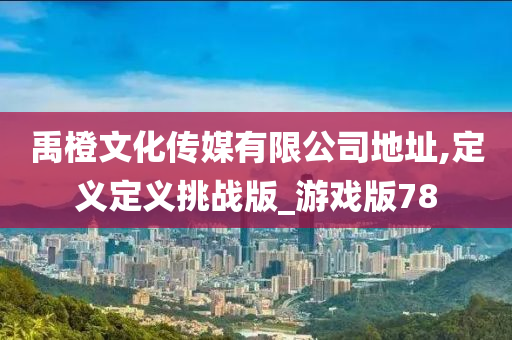 禹橙文化传媒有限公司地址,定义定义挑战版_游戏版78