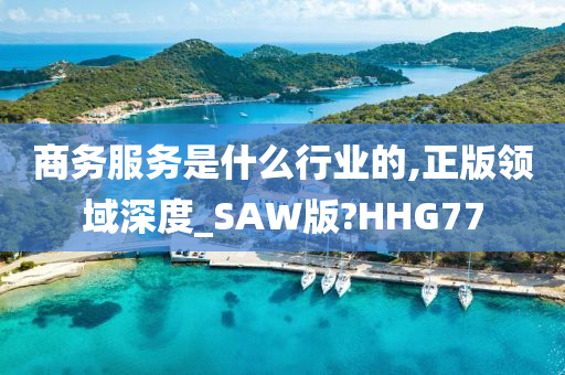 商务服务是什么行业的,正版领域深度_SAW版?HHG77