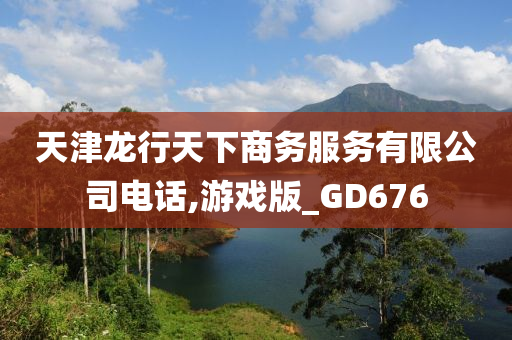 天津龙行天下商务服务有限公司电话,游戏版_GD676