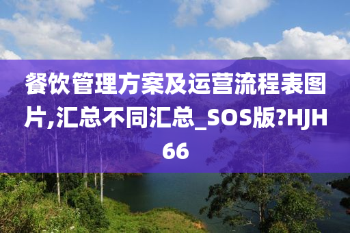 餐饮管理方案及运营流程表图片,汇总不同汇总_SOS版?HJH66