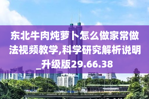 东北牛肉炖萝卜怎么做家常做法视频教学,科学研究解析说明_升级版29.66.38