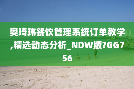 奥琦玮餐饮管理系统订单教学,精选动态分析_NDW版?GG756