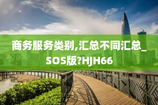 商务服务类别,汇总不同汇总_SOS版?HJH66