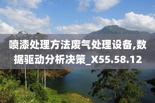 喷漆处理方法废气处理设备,数据驱动分析决策_X55.58.12