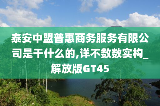 泰安中盟普惠商务服务有限公司是干什么的,详不数数实构_解放版GT45