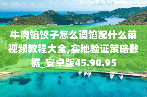 牛肉馅饺子怎么调馅配什么菜视频教程大全,实地验证策略数据_安卓版45.90.95
