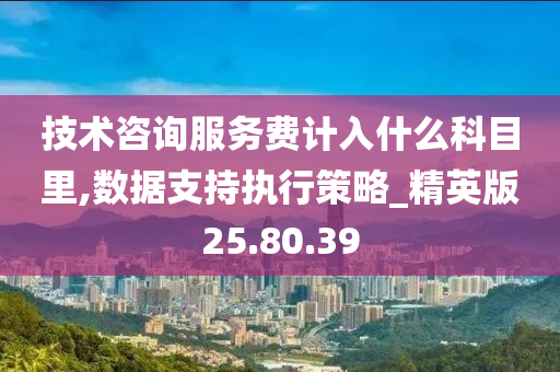 技术咨询服务费计入什么科目里,数据支持执行策略_精英版25.80.39