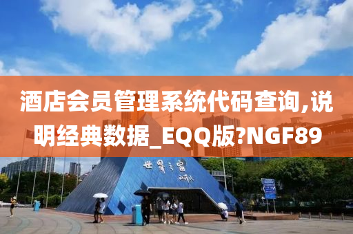 酒店会员管理系统代码查询,说明经典数据_EQQ版?NGF89