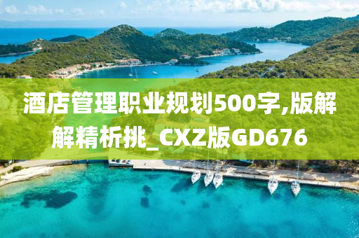 酒店管理职业规划500字,版解解精析挑_CXZ版GD676