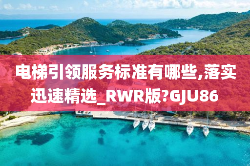 电梯引领服务标准有哪些,落实迅速精选_RWR版?GJU86