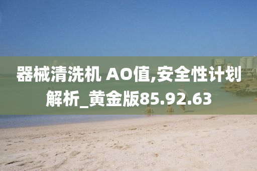 器械清洗机 AO值,安全性计划解析_黄金版85.92.63