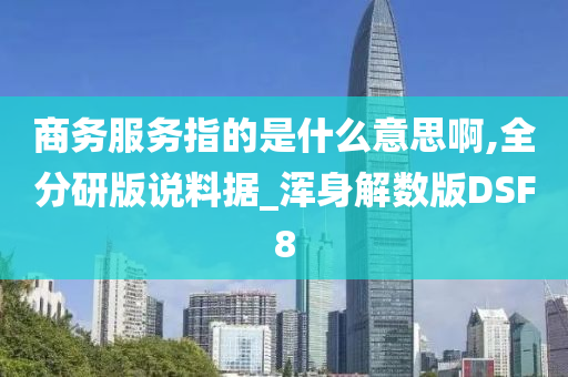 商务服务指的是什么意思啊,全分研版说料据_浑身解数版DSF8