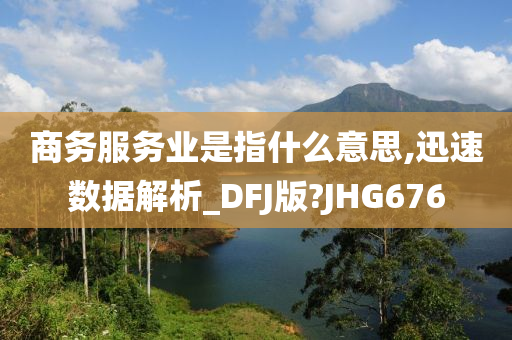 商务服务业是指什么意思,迅速数据解析_DFJ版?JHG676