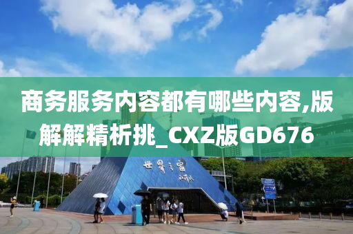 商务服务内容都有哪些内容,版解解精析挑_CXZ版GD676