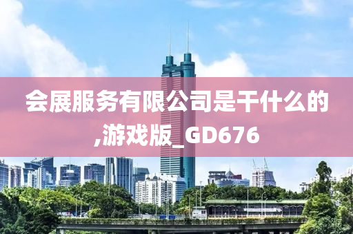 会展服务有限公司是干什么的,游戏版_GD676